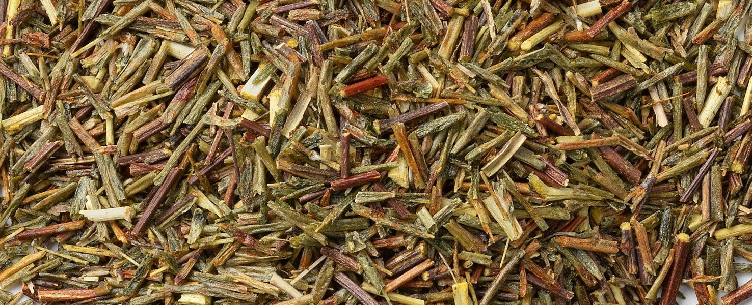 Le Rooibos vert pour protéger la peau et réduire les symptômes de la dermatite atopique