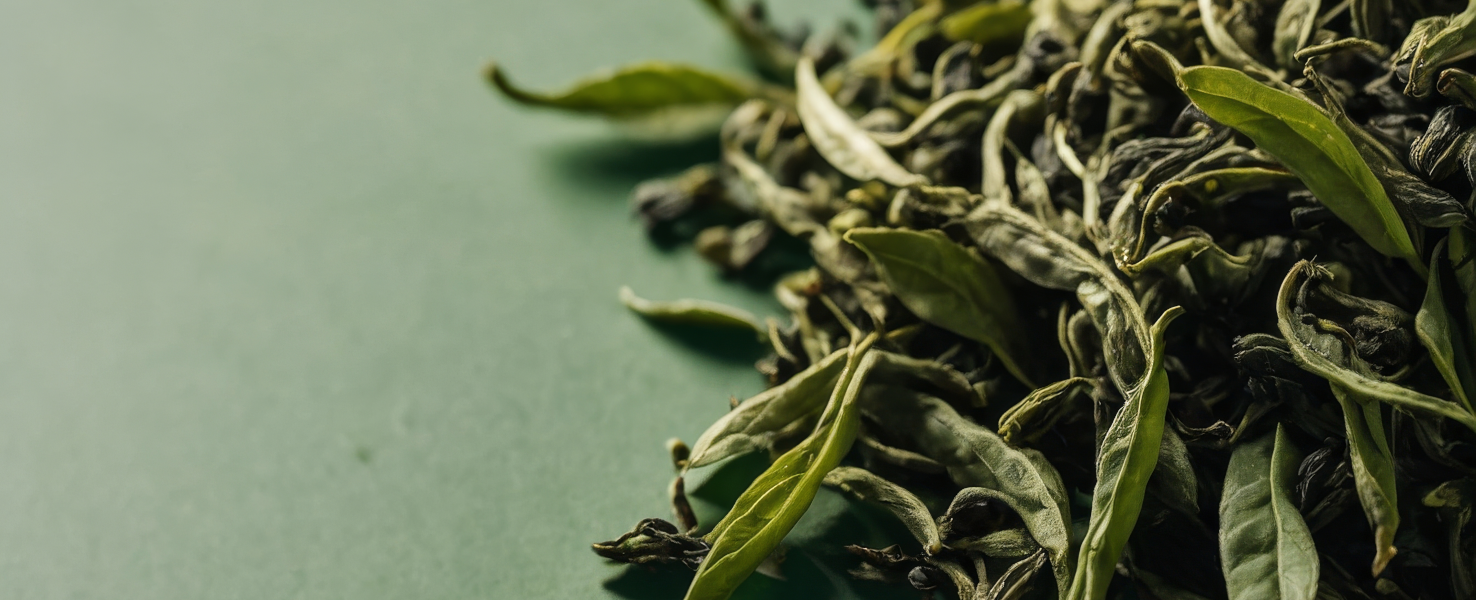 Le thé vert pour réduire le sébum et favoriser la repousse des cheveux